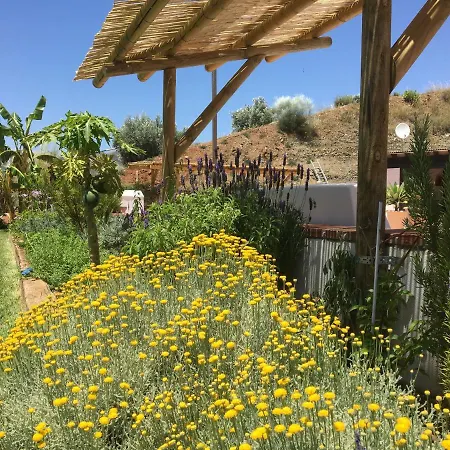 Hierbas