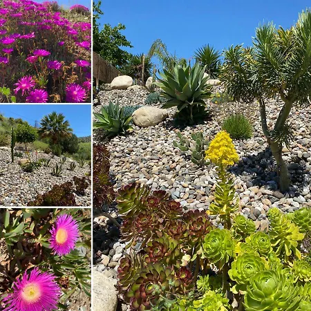 Bed & Breakfast Hierbas Alora