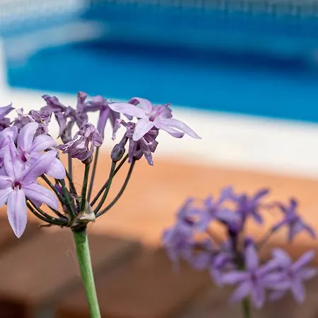 Hierbas Bed & Breakfast