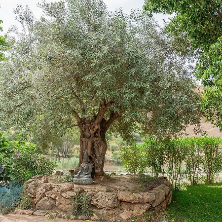 Bed & Breakfast Hierbas *