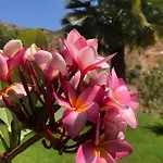 Hierbas 4*