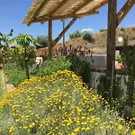 Hierbas