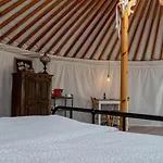 Hierbas 4*