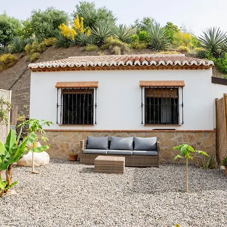 Hierbas 4*