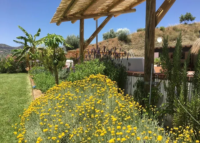 Hierbas