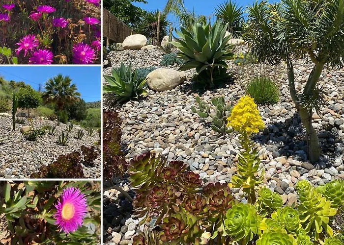 Bed & Breakfast Hierbas Alora